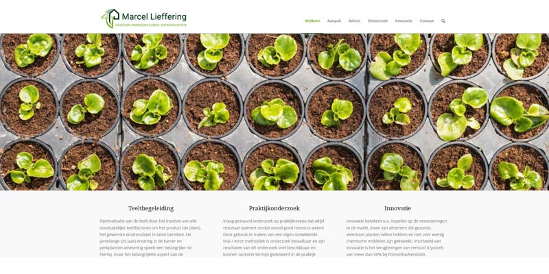 webdesign planten